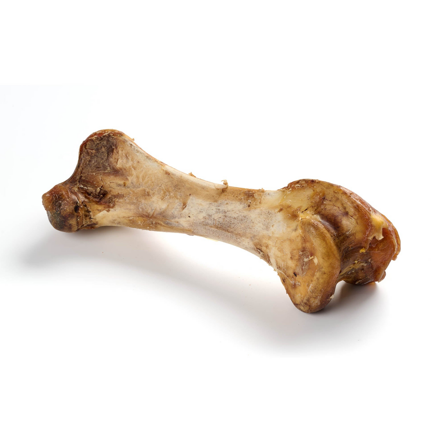 Straussen-Knochen-XXL