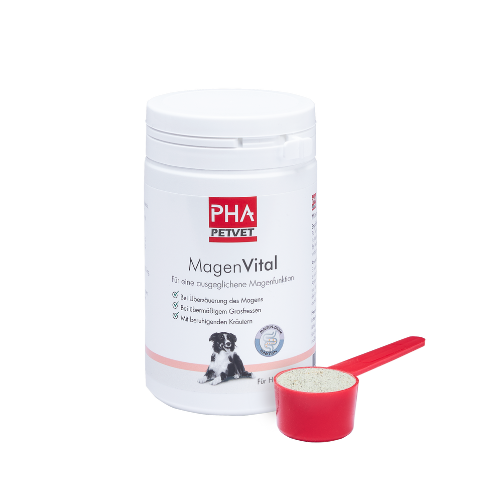 PHA MagenVital für Hunde, 200 g