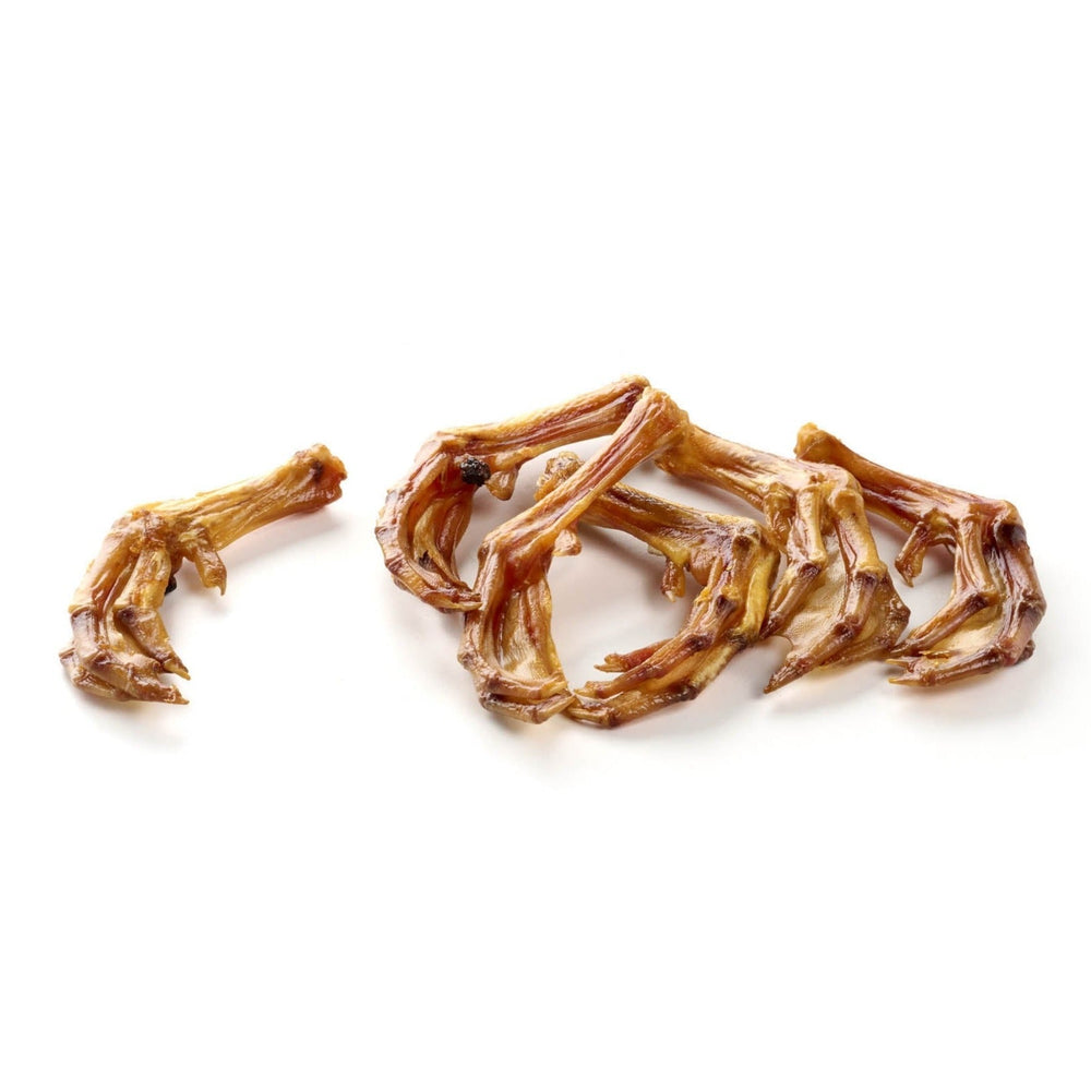 piedi d'anatra
