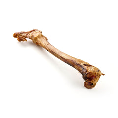 patte arrière du cerf