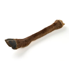 gamba inferiore di cervo con pelliccia 