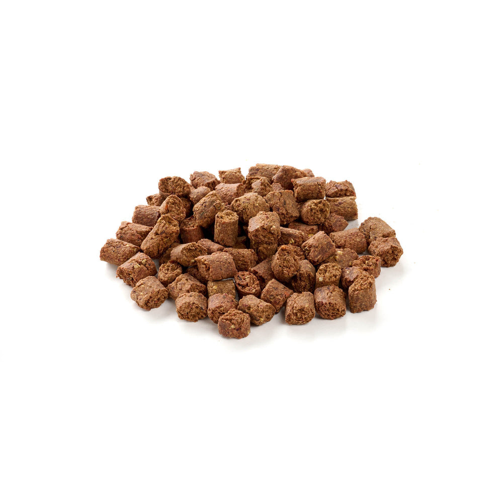 spuntino di insetti