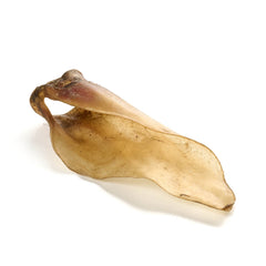 Misura delle orecchie di vitello M con attacco a conchiglia