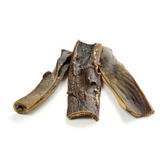 cuoio capelluto di cammello, corto