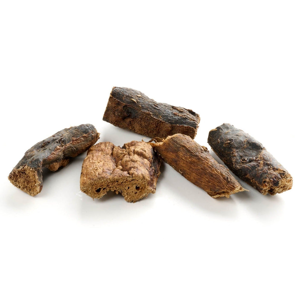 poumon de chameau