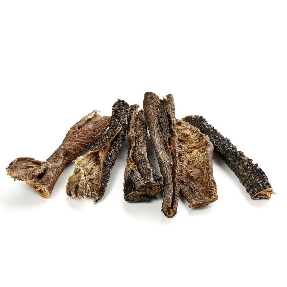 trippa di cammello
