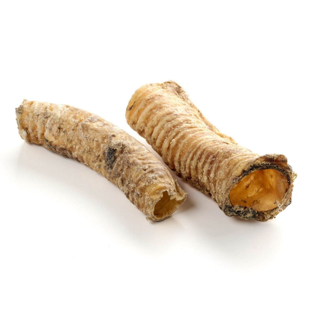 monconi di cammello, corti