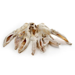 Oreilles de lapin avec fourrure de qualité supérieure