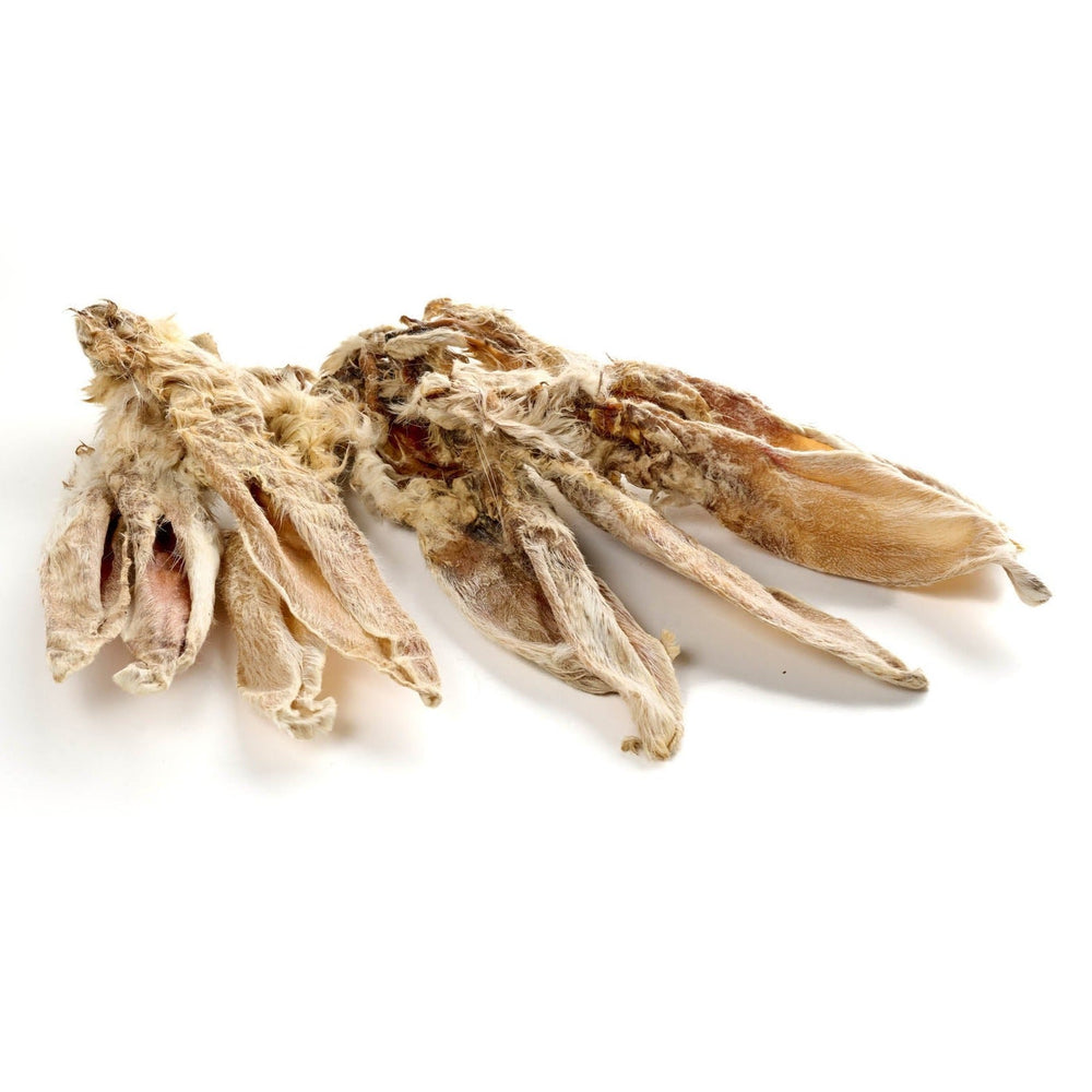 orecchie di coniglio con pelliccia