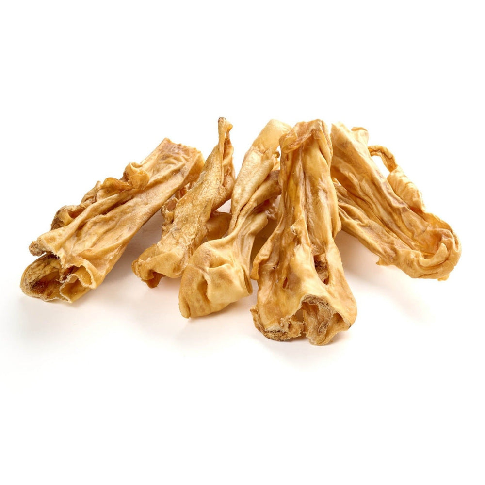 cuoio capelluto di agnello