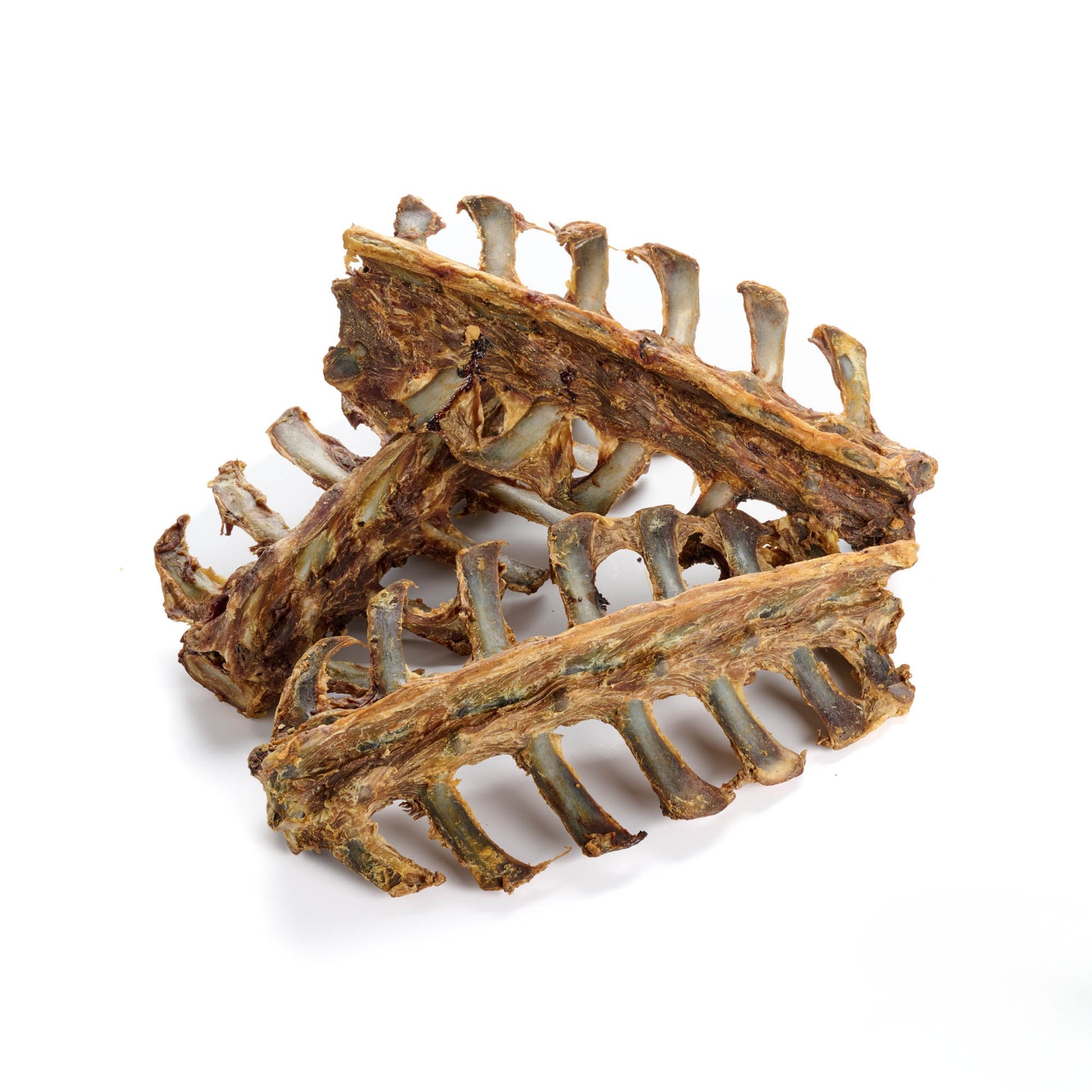 Lamm, Nackenknochen, Knochen