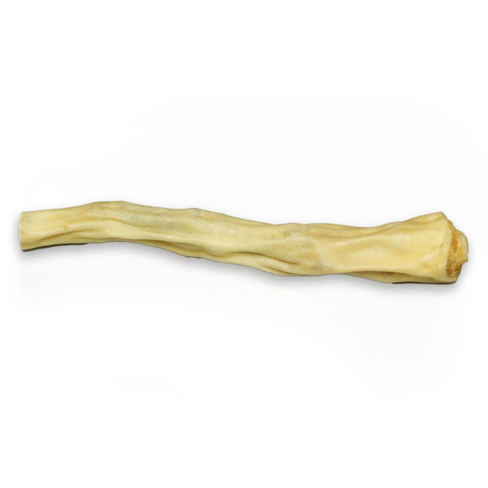 Coda di bue, 12 cm 