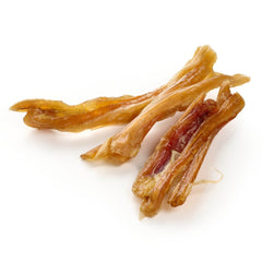 tendine d'Achille del cavallo