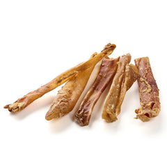 aorte du cheval, courte