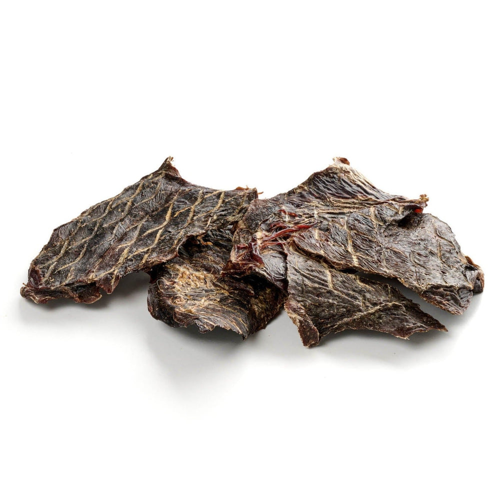filetto di cavallo