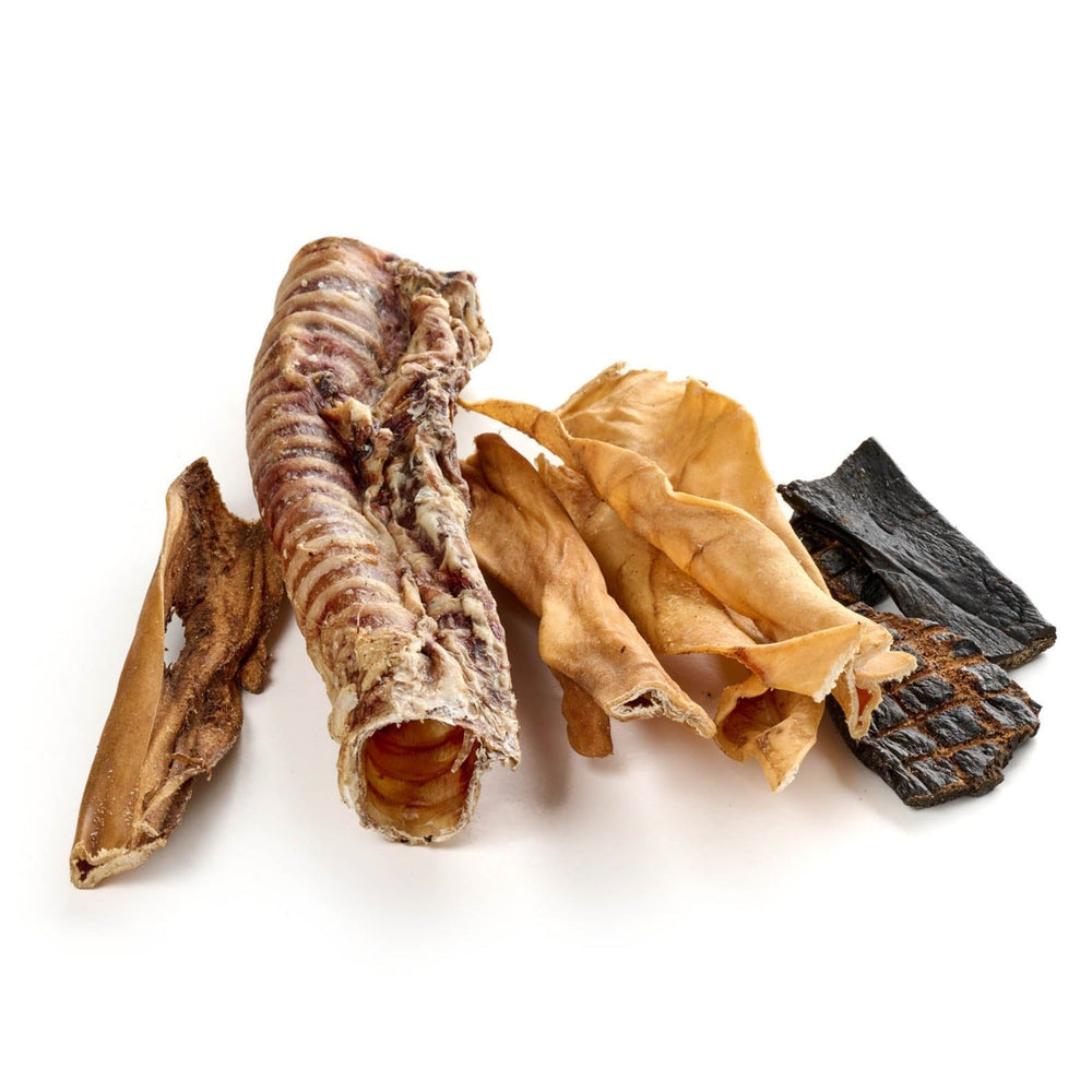 Cavalli SACCHETTO MIX