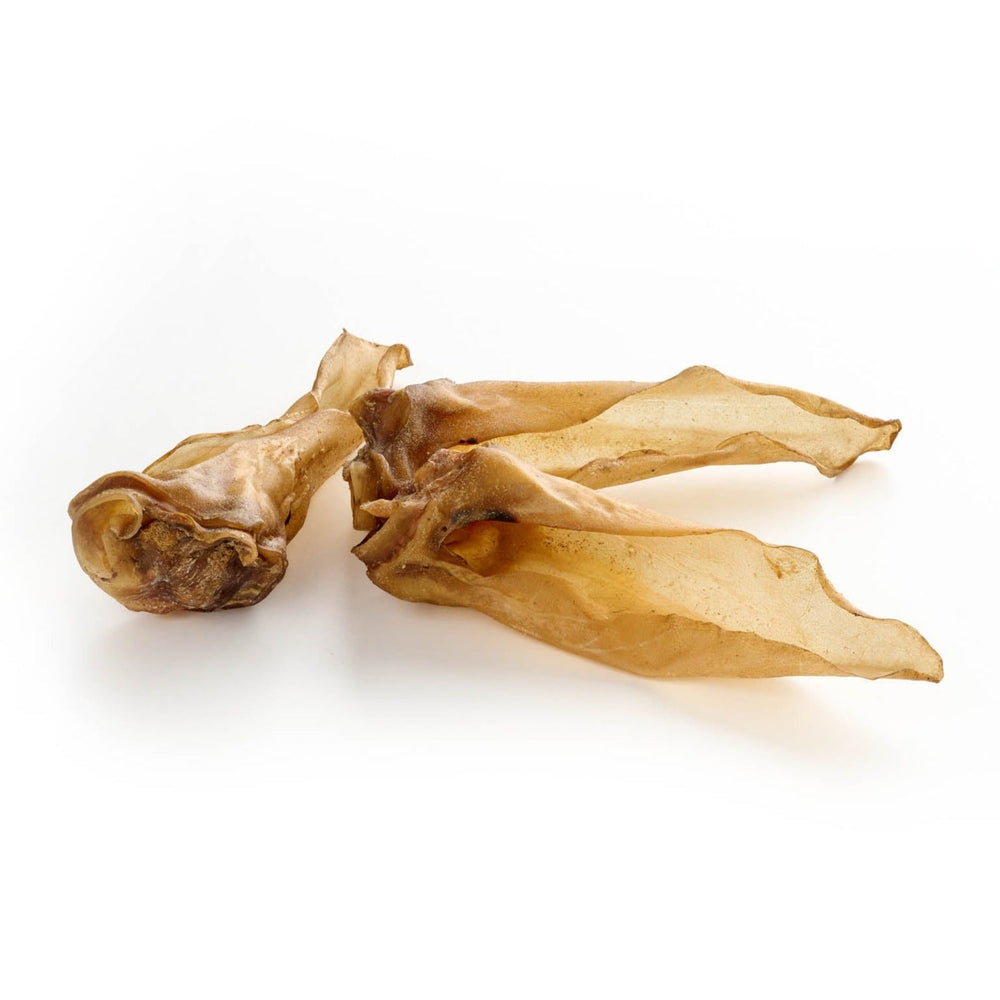 oreilles de cerf