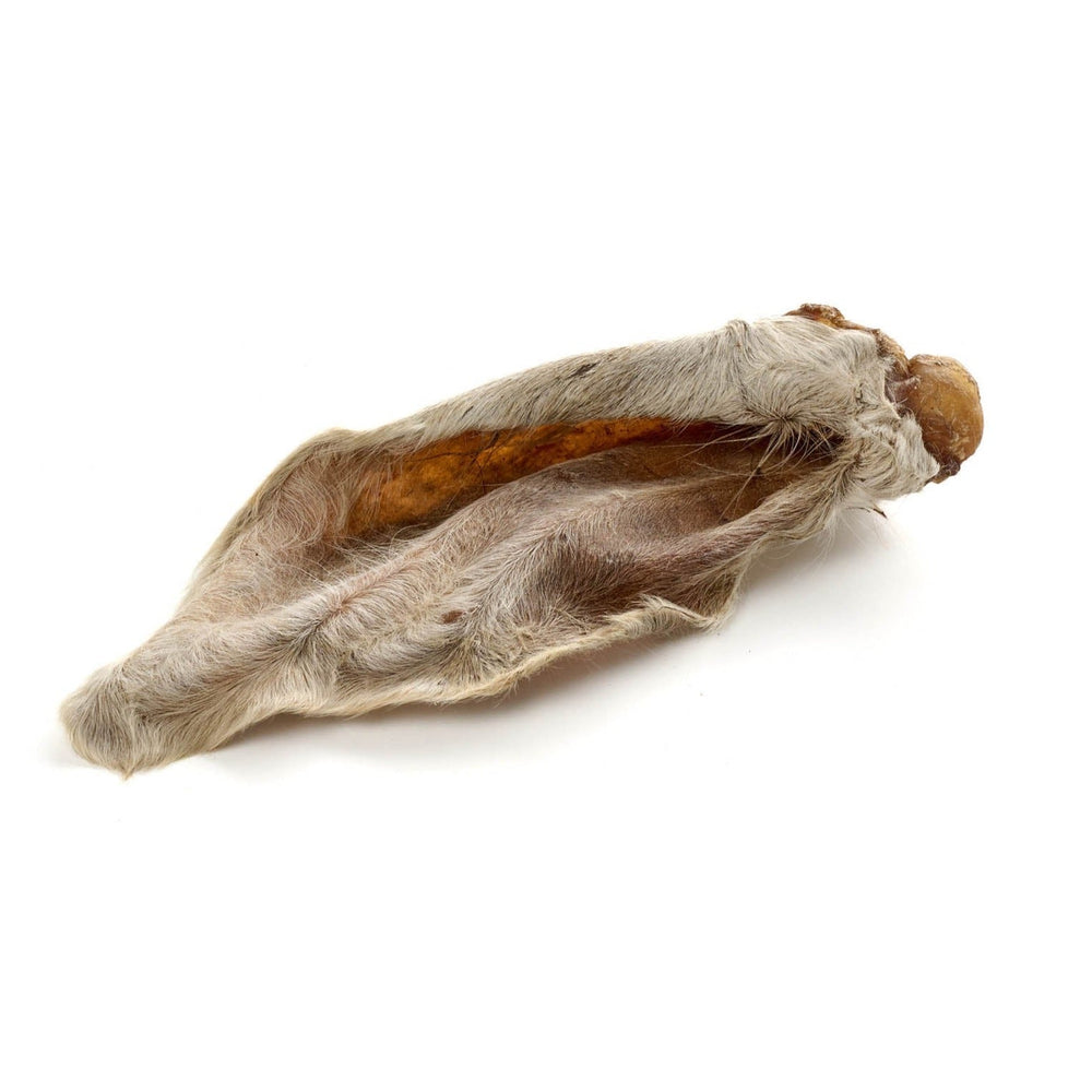 orecchie di cervo con pelliccia