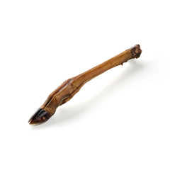 patte inférieure du cerf