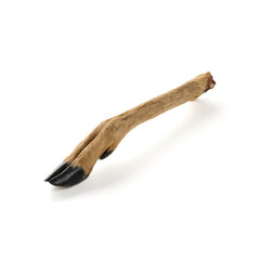 gamba inferiore di cervo con pelliccia