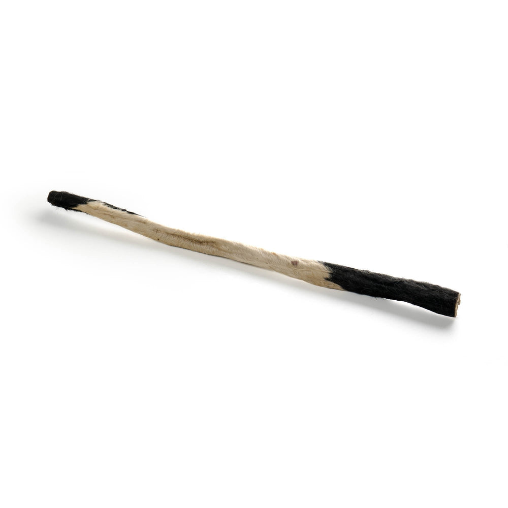 strisce di pelle bovina 75cm