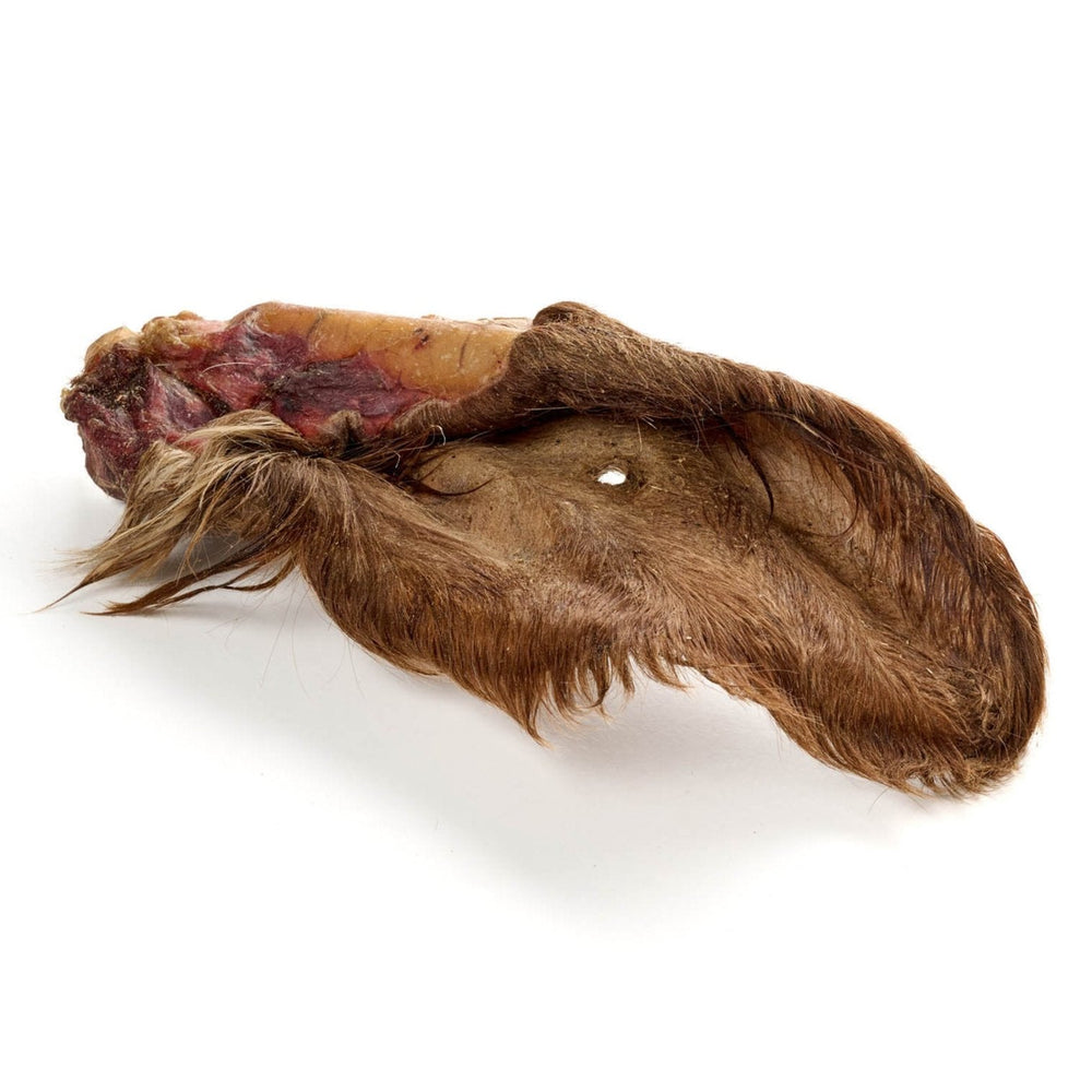 orecchio di mucca con pelliccia