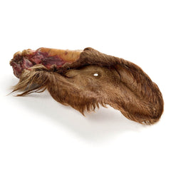 orecchio di mucca con pelliccia