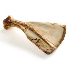 scapola di manzo gigante