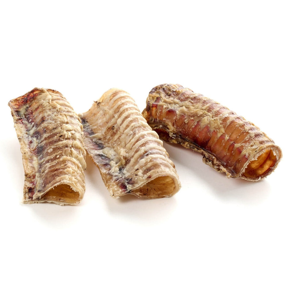 lanières de bétail, courtes