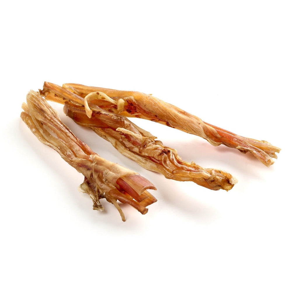 tendons d'autruche, courts