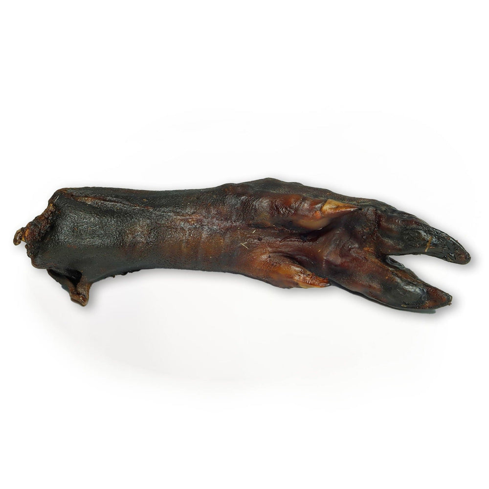 pied de sanglier